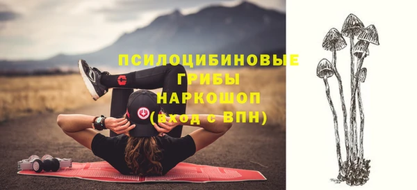 гашишное масло Новодвинск