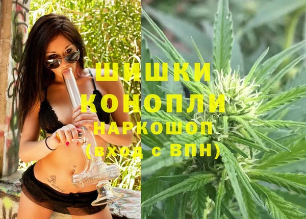 гидропоника Новозыбков