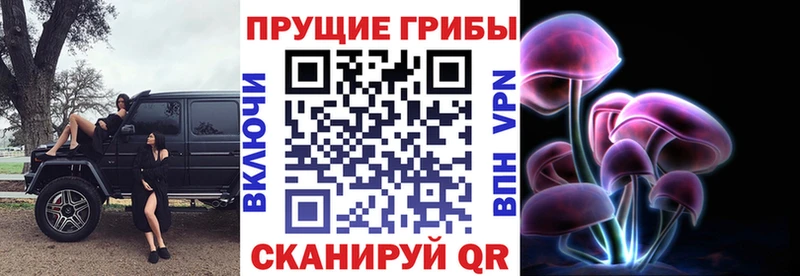 Псилоцибиновые грибы мицелий Ревда