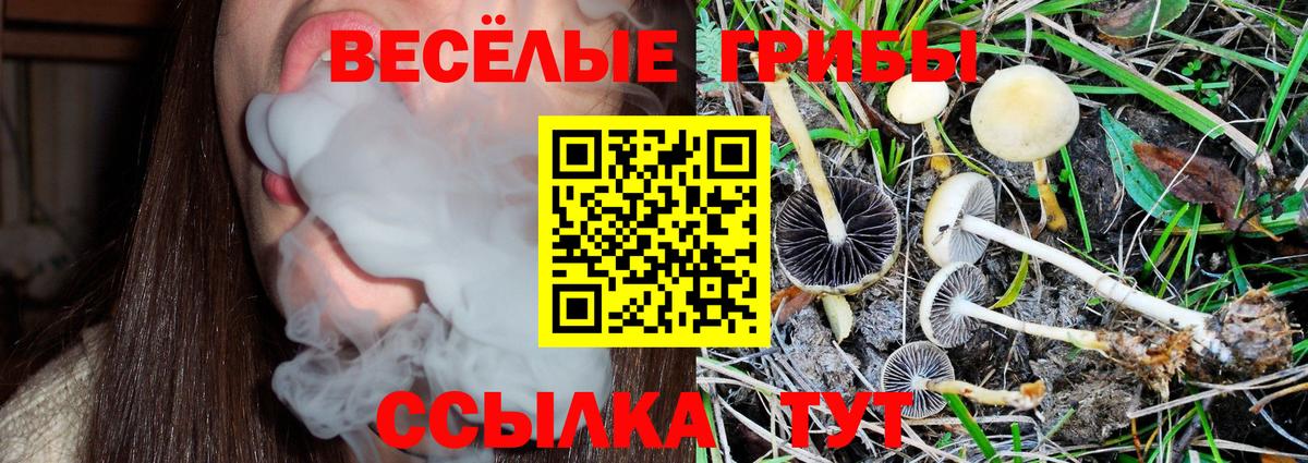 Псилоцибиновые грибы Psilocybe Ревда