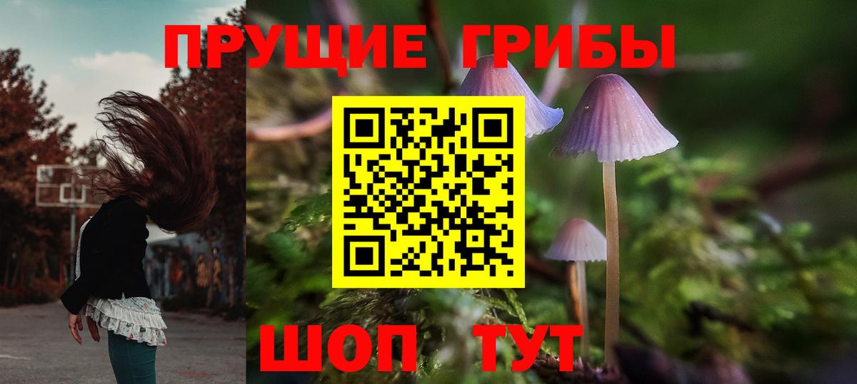 Псилоцибиновые грибы мухоморы  Вход с VPN  Галлюциногенные грибы Psilocybine cubensis  Ревда 